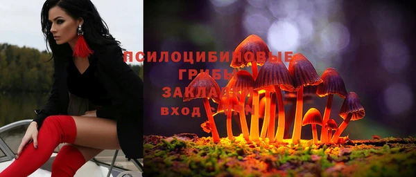 PSILOCYBIN Алексин