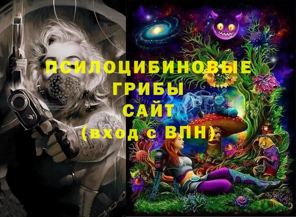 PSILOCYBIN Алексин
