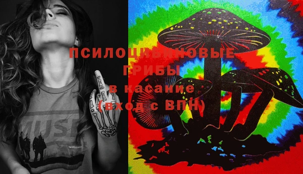 прущие грибы Нязепетровск