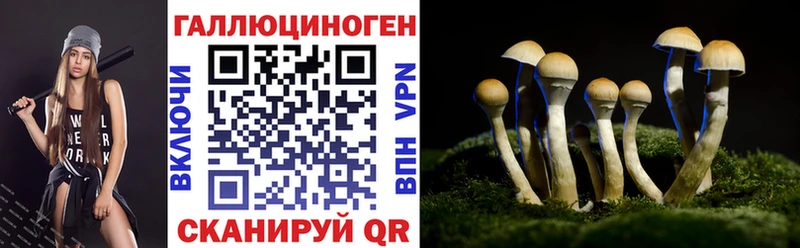 Галлюциногенные грибы GOLDEN TEACHER  МЕГА рабочий сайт  Порхов  наркошоп 